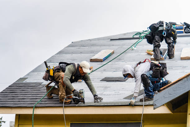Professional Storm Damage Roof Repair technician working in Fletcher, NC
